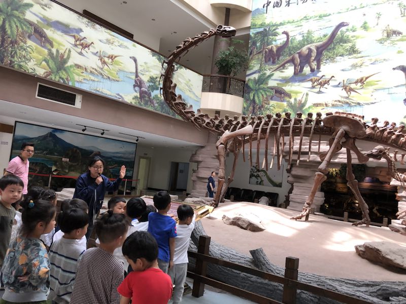 中班春游记--参观恐龙博物馆