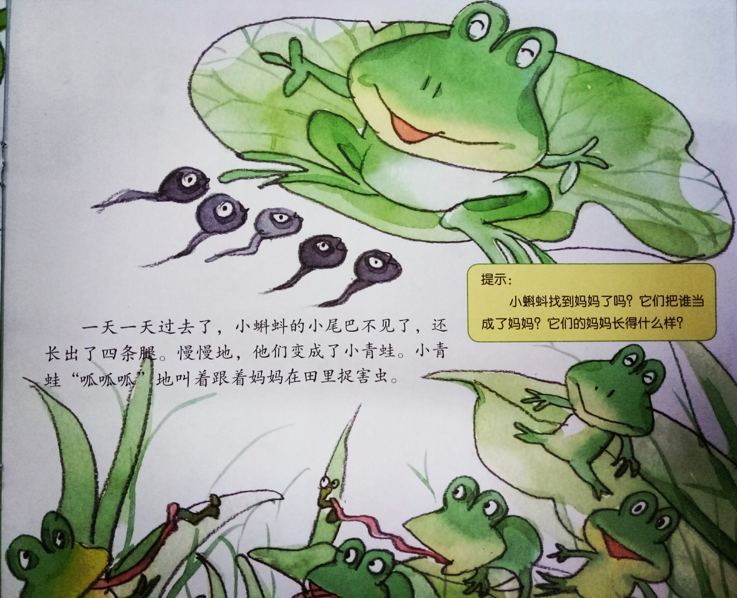 故事《小蝌蚪找妈妈》
